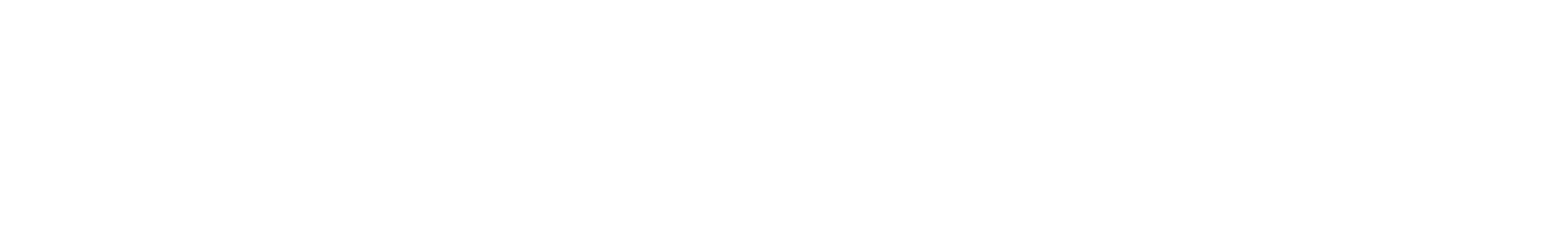 invoisebi.ge